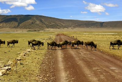 Le massif du Ngorongoro - Tanzanie