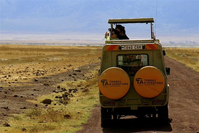 Voyage Kaléidoscope animalier