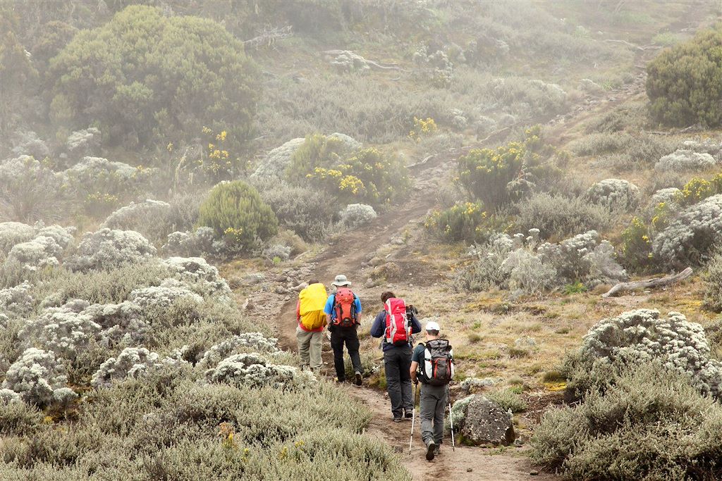 Image Ascension Kilimandjaro - Trek Kilimandjaro - Zanzibar