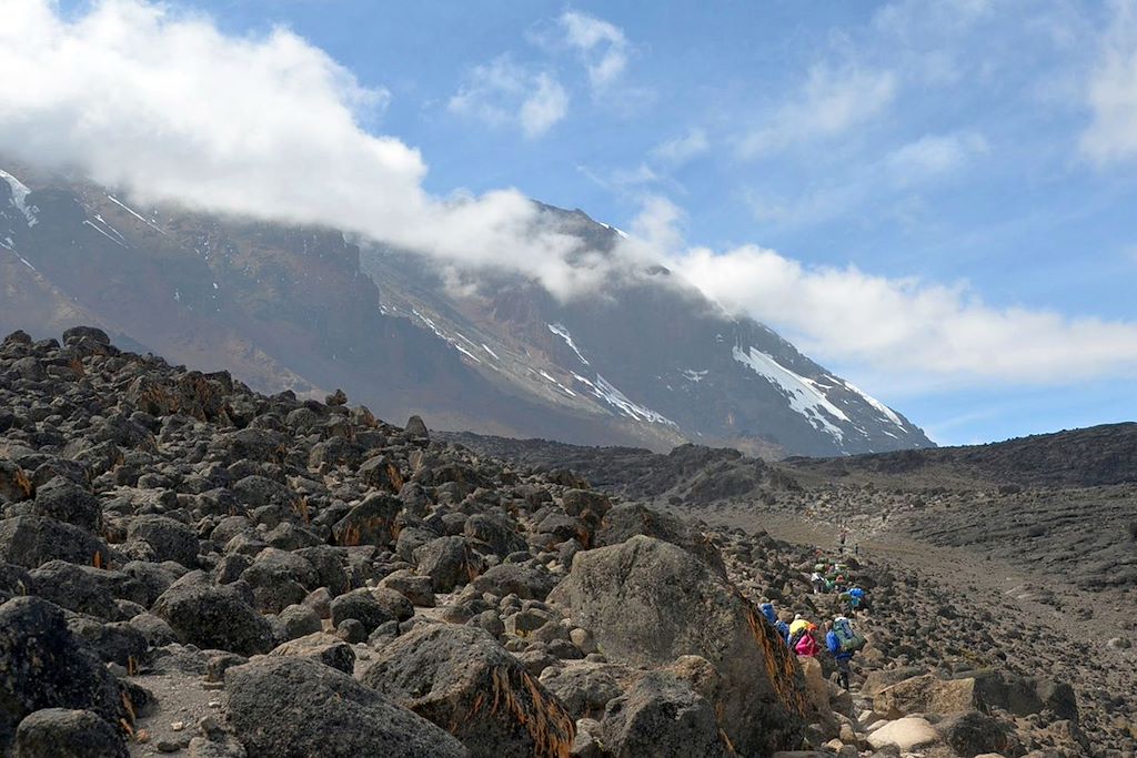 Image Ascension Kilimandjaro - Trek Kilimandjaro - Zanzibar