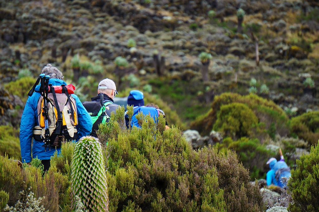 Image Ascension Kilimandjaro - Trek Kilimandjaro - Zanzibar