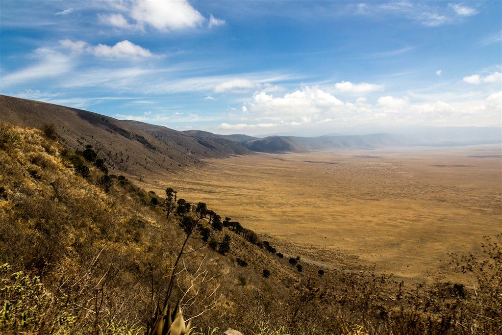 Image Ascension Kilimandjaro - Trek Kilimandjaro - Ngorongoro - Safari Tarangire - Lac Manyara