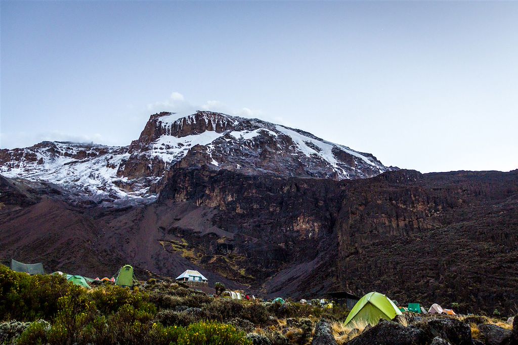 Image Ascension Kilimandjaro - Trek Kilimandjaro - Ngorongoro - Safari Tarangire - Lac Manyara
