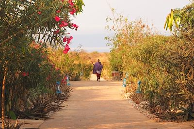 Manyara - Tanzanie