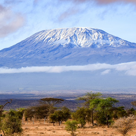 Safari en véhicule Tanzanie Parcs Nationaux du Nord