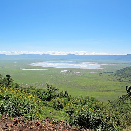 Safari Tanzanie Lac Manyara