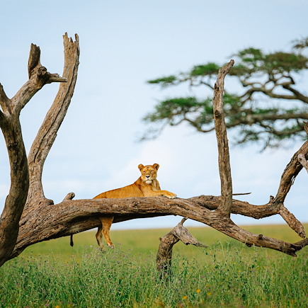 Safari Tanzanie Vallée du Rift