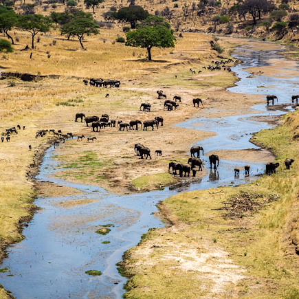 Safari Tanzanie Vallée du Rift