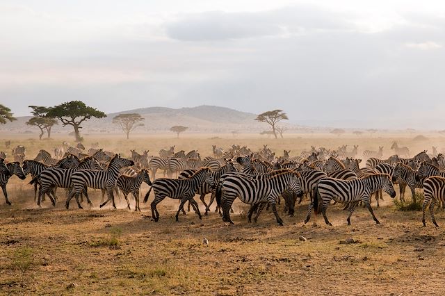 Safari Tanzanie Vallée du Rift