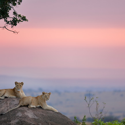 Safari Tanzanie Vallée du Rift