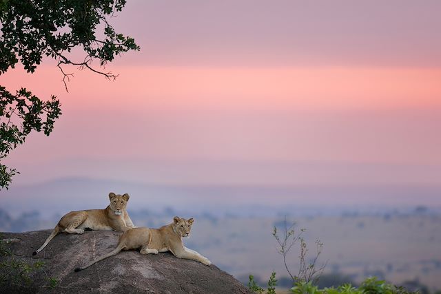 Safari Tanzanie Vallée du Rift