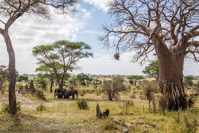 Multi-activités Tanzanie Vallée du Rift