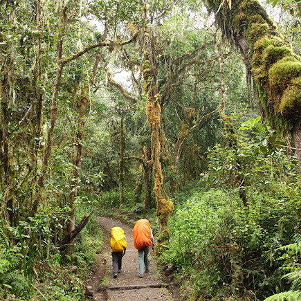 Trek Tanzanie Kilimandjaro et Mont Meru