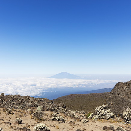 Trek Tanzanie Kilimandjaro et Mont Meru