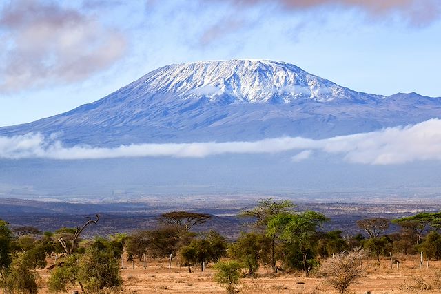 Trek Tanzanie Kilimandjaro et Mont Meru