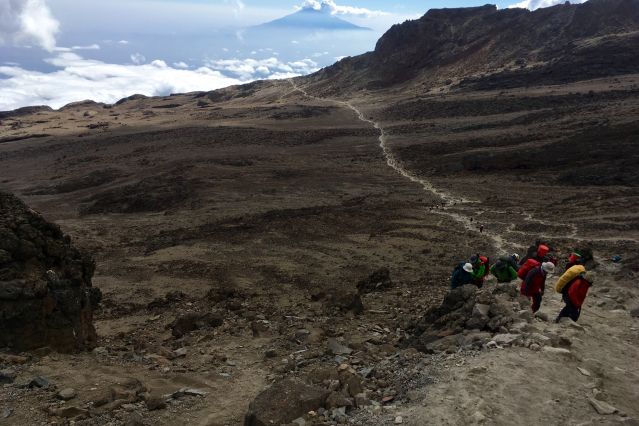 Image Kilimandjaro, voie Machame (5895m)