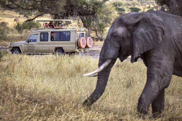Image Dans la peau d'un Masaï, marche et safari
