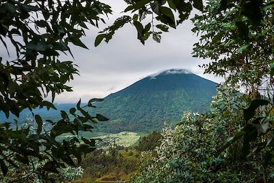 © Dana Allen/Bisate Lodge - Bisate Lodge - Parc National des Volcans - Rwanda Bisate Lodge - Parc National des Volcans - Rwanda
