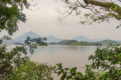 Treks dans les montagnes de la lune et safaris 