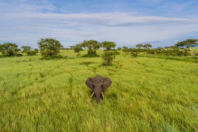 © Marasa Africa/Mweya Safari Lodge - Mweya Safari Lodge - Parc National Queen Elizabeth - Ouganda Mweya Safari Lodge - Parc National Queen Elizabeth - Ouganda