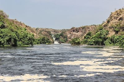 Croisière en bateau sur le Nil et randonnée jusqu'aux chutes - Murchison Falls - Ouganda