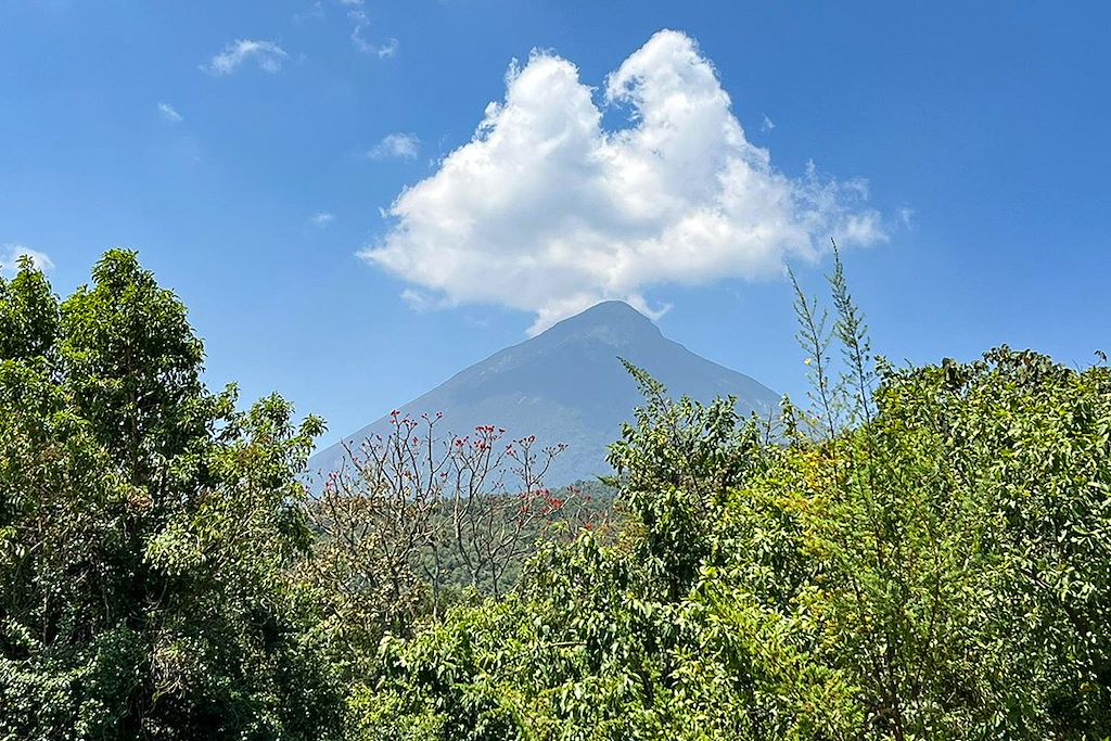 Image Trek Gorille Mgahinga - Randonnée volcan Gahinga - Safari Queen Elisabeth