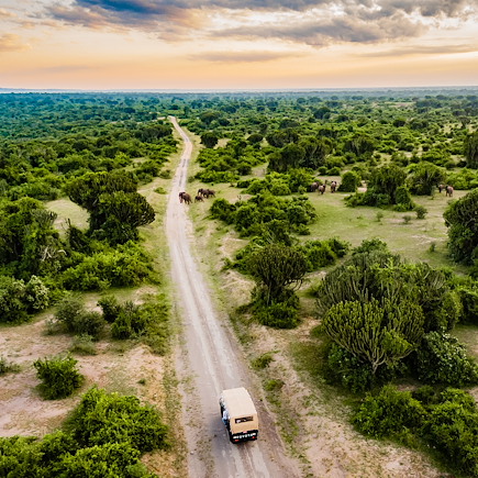 Safari Ouganda