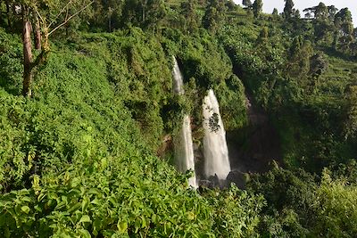 © Michele D'Amico supersky77 / Getty Images - Chutes de Sipi - Ouganda Chutes de Sipi - Ouganda