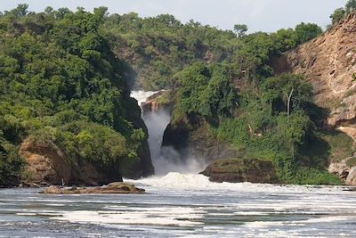 © Lingbeek / Getty Images - Chutes de Murchison - Ouganda Chutes de Murchison - Ouganda