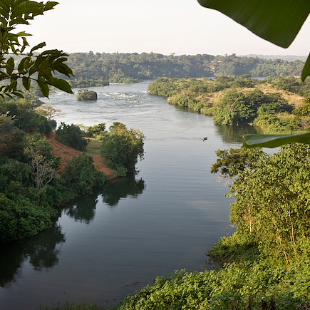 Safari Ouganda
