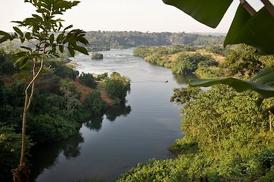 Voyage Ouganda