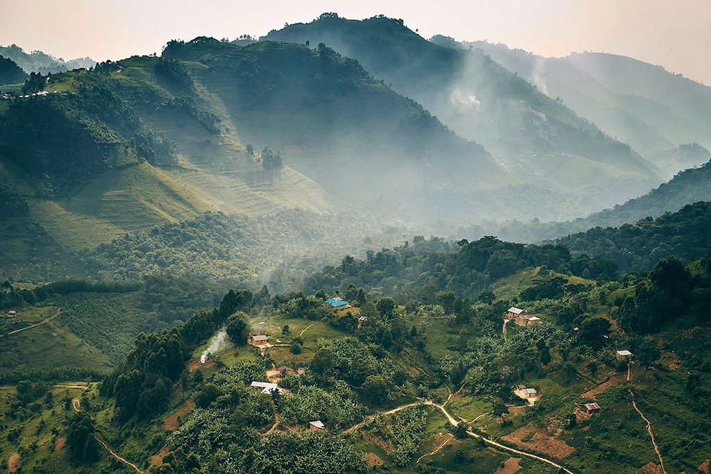 Image Randonnée forêt Bwindi - Trek Gorilles - Safari Murchison Falls