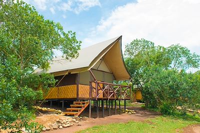 Queen Elizabeth Bush Lodge - Ouganda