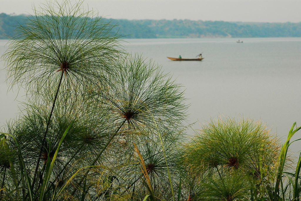 Image Trek Gorille Bwindi - Safari Queen Elizabeth - Croisière Kazinga