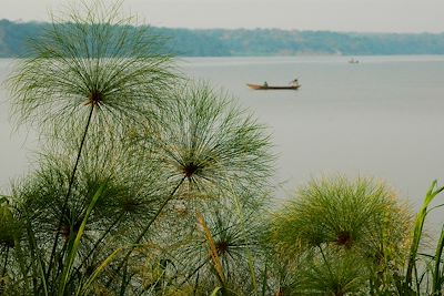 Parc national Queen Elizabeth - Ouganda
