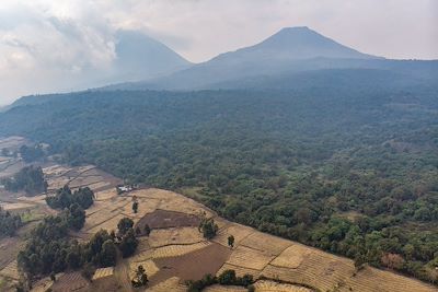 Mount Gahinga Lodge - Parc national Mgahinga - Ouganda