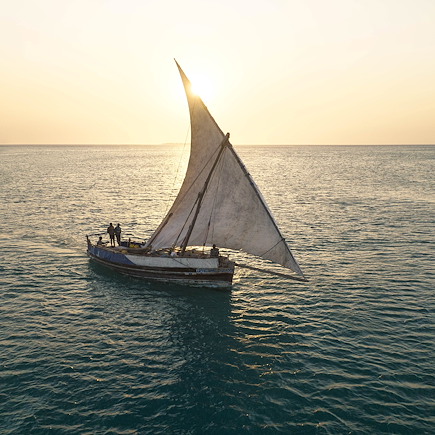 Safari Ouganda Zanzibar