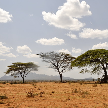 Safari Ouganda