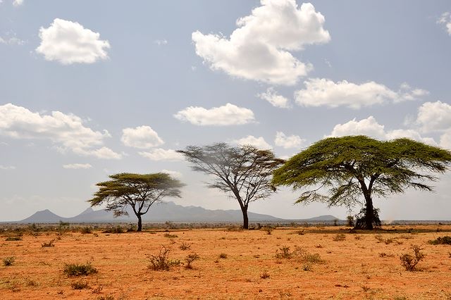 Safari Ouganda