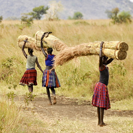 Safari Ouganda