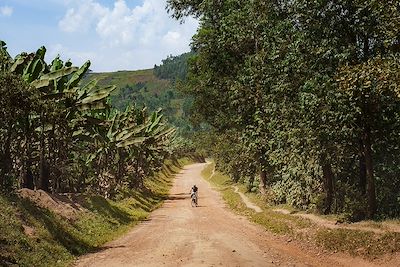 Traversée de l'Ouganda à vélo par les grands parcs