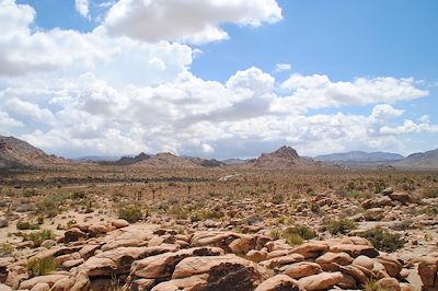 Parc national de Joshua Tree - Etats-Unis