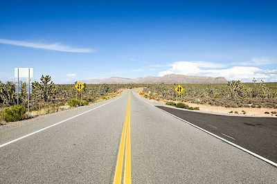 À la conquête de l’Ouest: cactus, déserts et océan