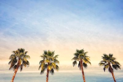  Palm Springs