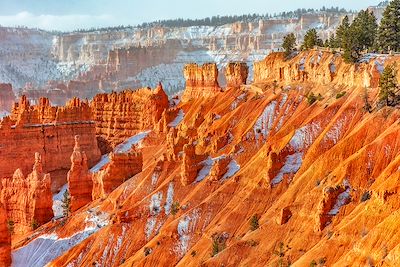 Parc national du grand canyon sous la neige