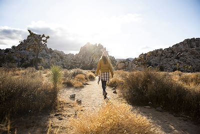 Randonnée dans le désert de  palm springs 