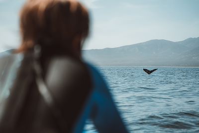 Observation des baleines