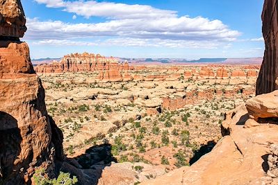 © RbbrDckyBK / Adobe Stock - Parc national de Canyonlands - Utah - Etats-Unis Parc national de Canyonlands - Utah - Etats-Unis
