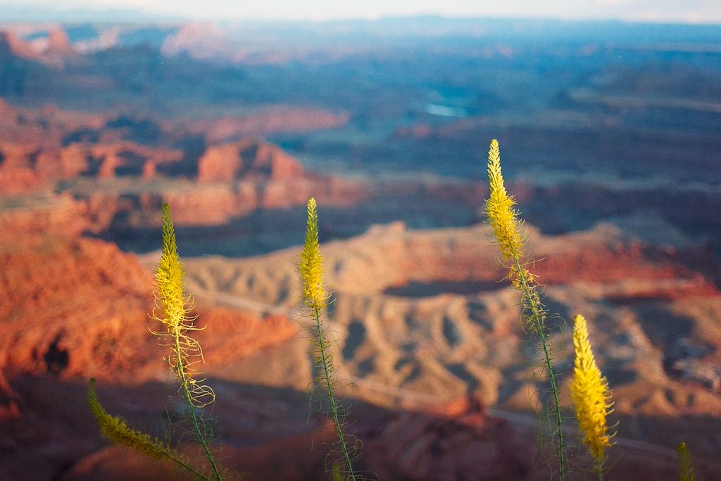 Image Autotour Ouest Américain - Randonnée Grand Canyon