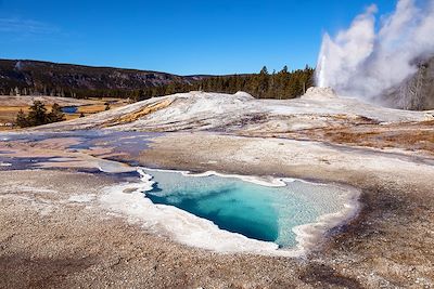 Geyser - Parc National - Etats-Unis